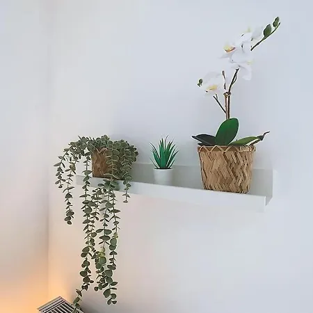 Apartamento L'elixir *